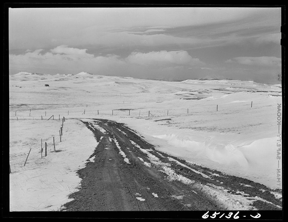 Road from Harlawton to Big Timber, Montana. Sourced from the Library of Congress.