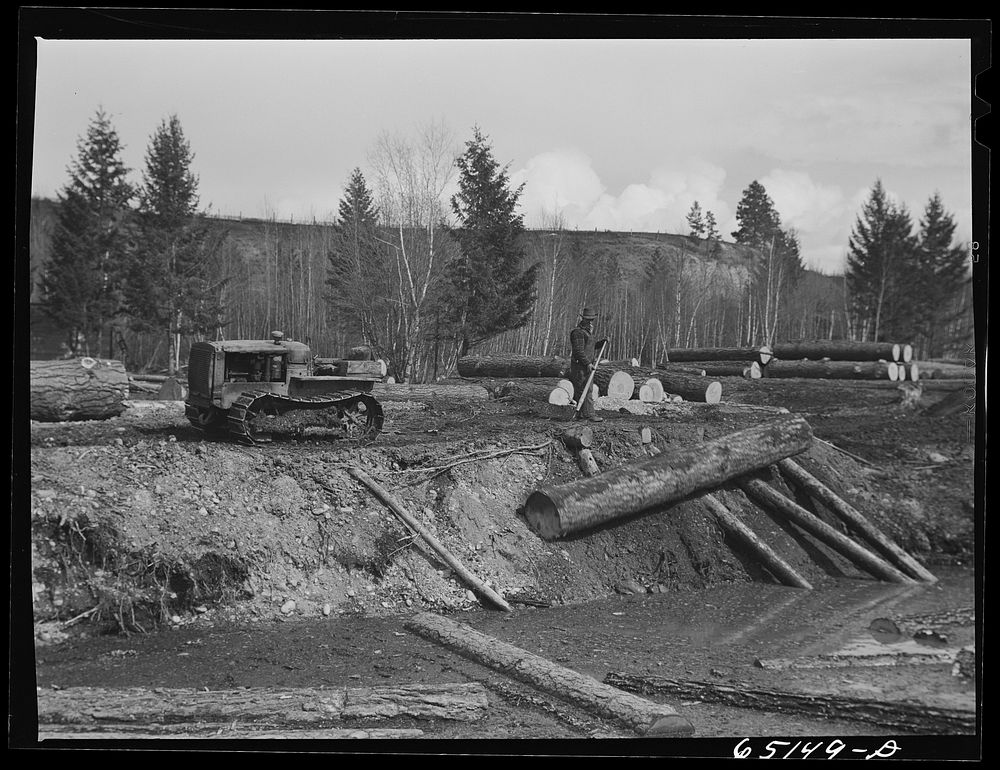 Kalispell, Montana. Rolling logs pond Free Photo rawpixel