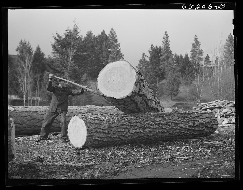 Kalispell, Montana. Flathead valley special area project. Sawmill worker at FSA (Farm Security Administration) cooperative…