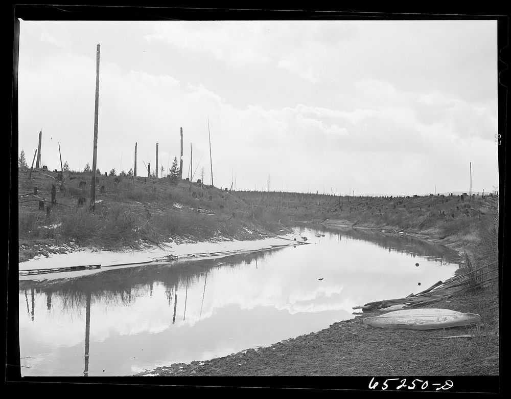 Flathead Valley special area project, Montana. Uncleared land on the Lawrence Thompson farm. Sourced from the Library of…