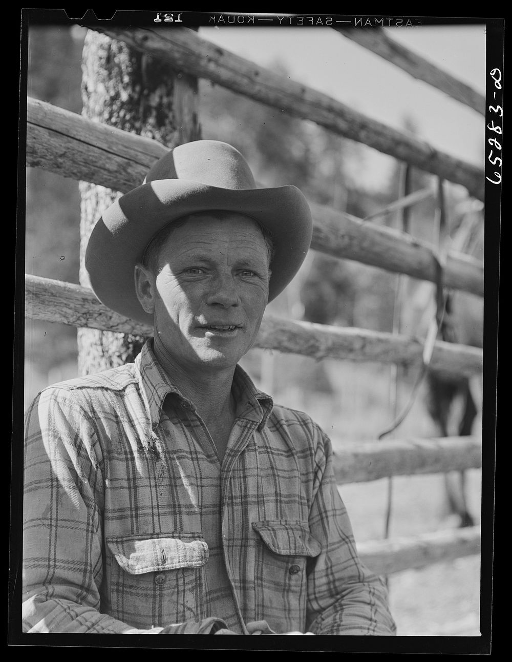 Bitterroot Valley, Ravalli County, Montana. Cowboy. Sourced from the Library of Congress.