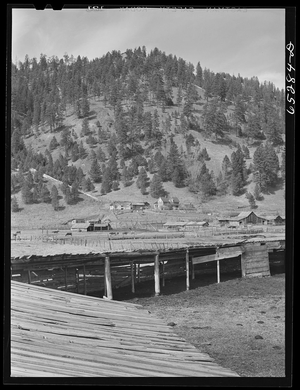 Bitterroot Valley, Ravalli County, Montana. Ranch in Ross's Hole. Sourced from the Library of Congress.