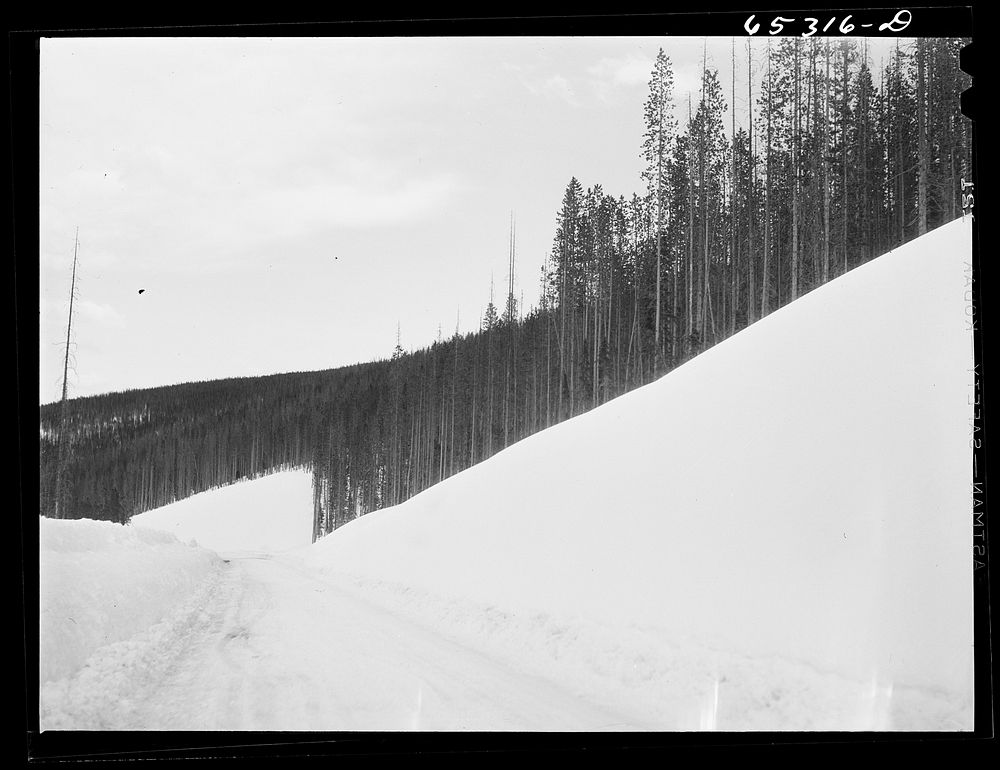 Ravalli County, Montana. Gibbons Pass on U.S. highway number ninety-three. Sourced from the Library of Congress.