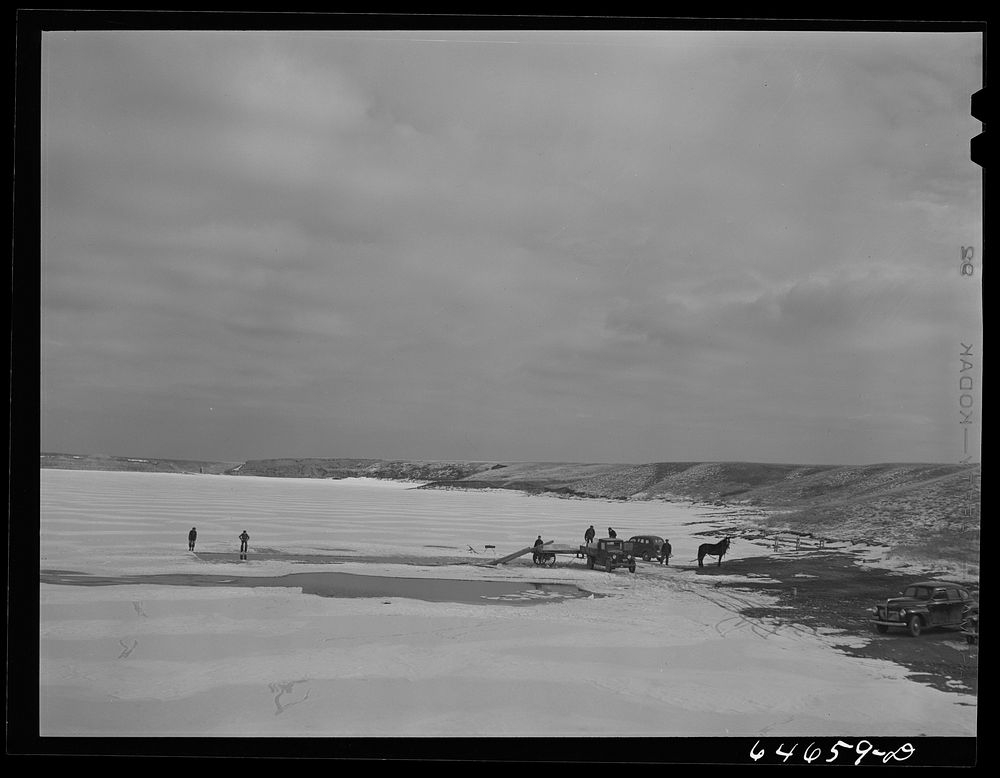 Perkins County, South Dakota. Ice cutting on the Grand River. Sourced from the Library of Congress.