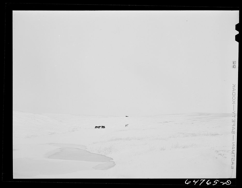 Stark County, North Dakota. Horse grazing country. Sourced from the Library of Congress.