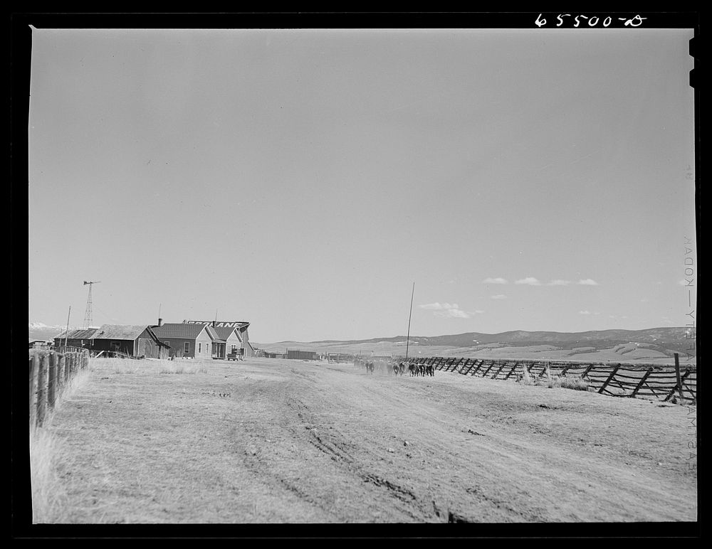 [Untitled photo, possibly related to: Beaverhead County, Montana. Spokane Ranch in the Big Hole Basin]. Sourced from the…