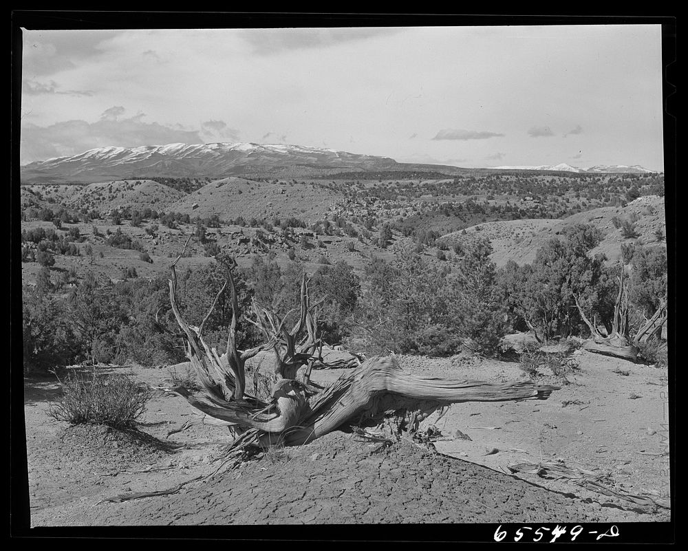 Duchesne County, Utah. Desert country. Sourced from the Library of Congress.