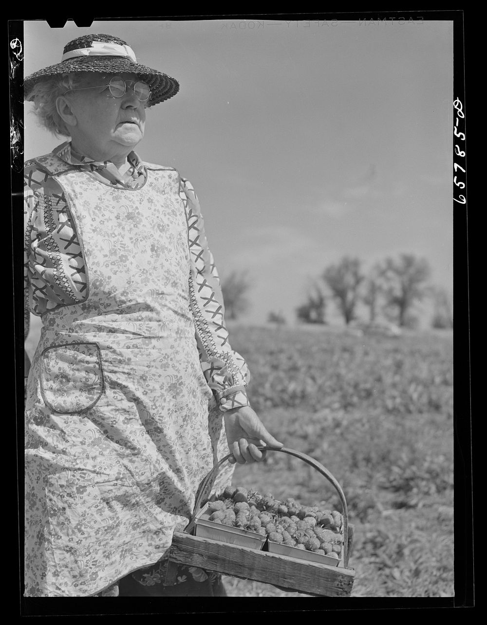 [Untitled photo, possibly related to: Lancaster County, Nebraska. Picking strawberries]. Sourced from the Library of…