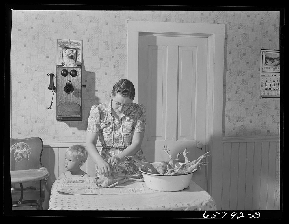 Lancaster County, Nebraska. Mrs. Lynn May, FSA (Farm Security Administration) borrower, cleaning a chicken. Sourced from the…
