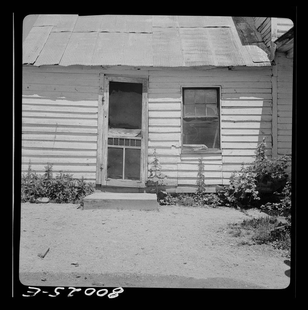 Front yard of the Fredrick house. Saint Mary's County, Maryland. Sourced from the Library of Congress.