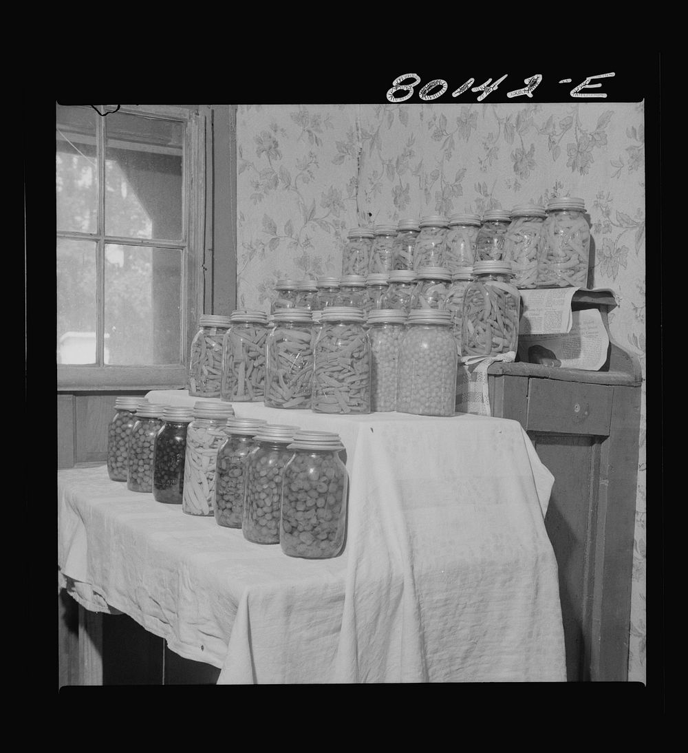 Vegetables canned by FSA (Farm Security Administration) borrower in cooperation with the "home plan." Saint Mary's County…