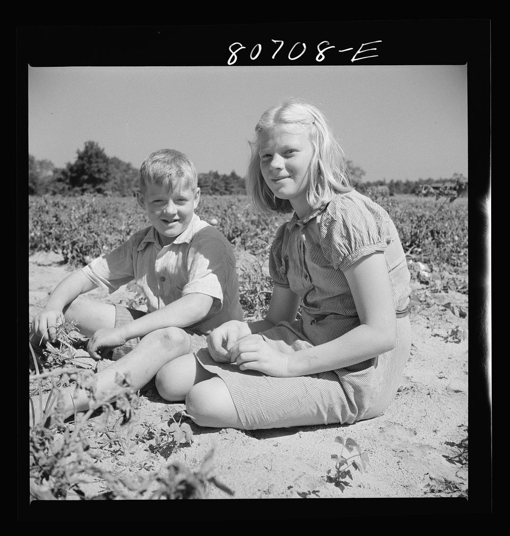 [Untitled photo, possibly related to: Children of Maryland farmer who helped harvest the tomato crop. Dorchester County…