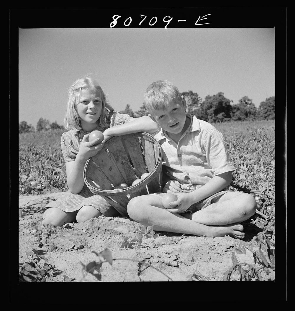 Children Maryland farmer who helped | Free Photo - rawpixel