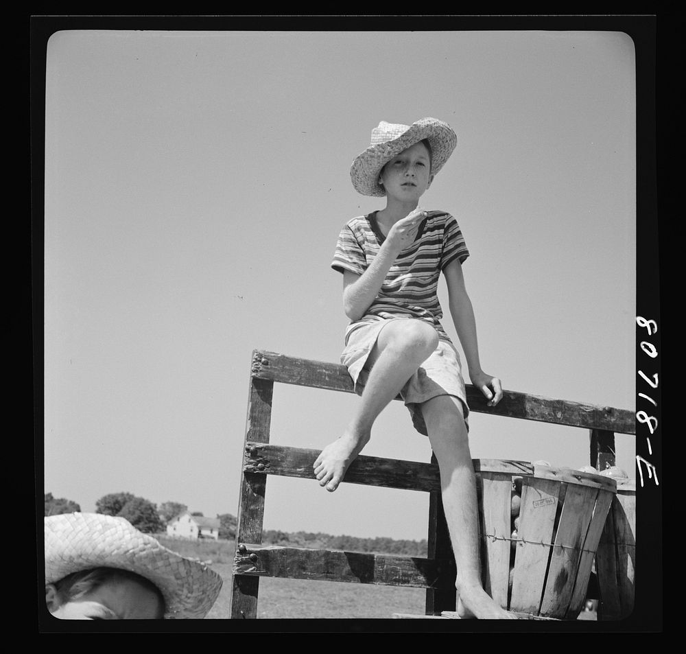 Young picker waiting for loaded truck to leave for cannery. Dorchester County, Maryland. Sourced from the Library of…