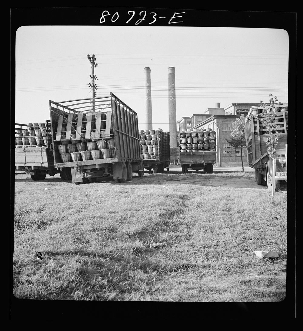 Trucks come at dawn to wait their turn to unload at Phillips Packing Company plant. Cambridge, Maryland. Sourced from the…