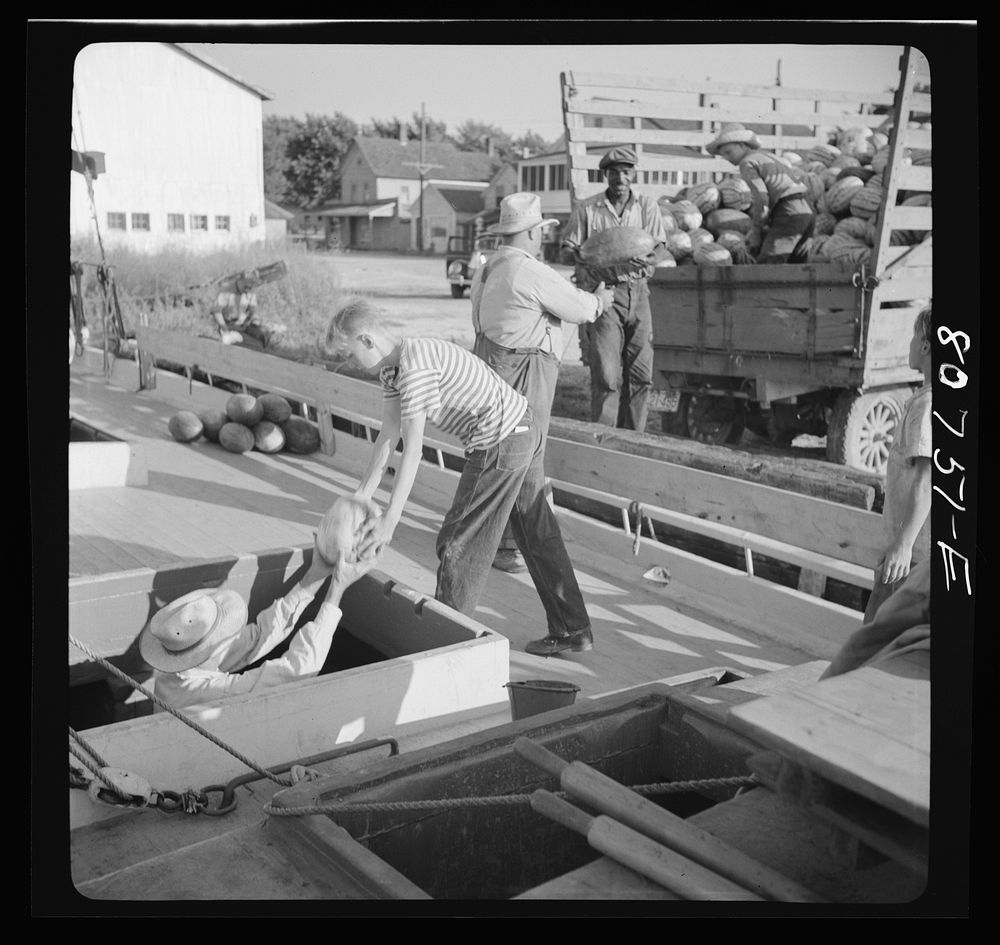 It took six pair of hands to load this melon boat. Maryland. Sourced from the Library of Congress.