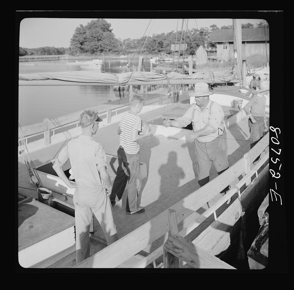 [Untitled photo, possibly related to: It took six pair of hands to load this melon boat. Maryland]. Sourced from the Library…