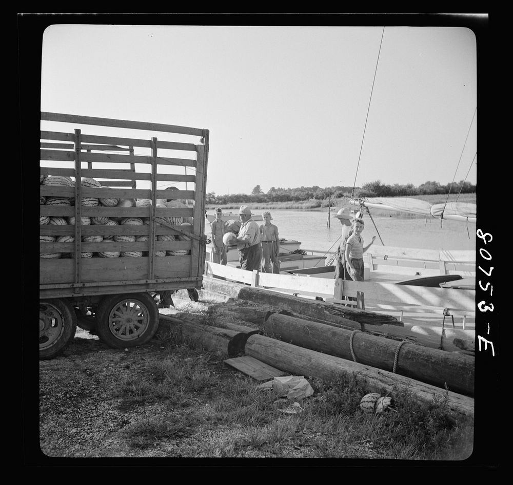[Untitled photo, melon truck and melon boat, Eastern shore, Maryland]. Sourced from the Library of Congress.