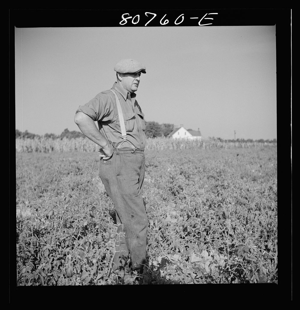 [Untitled photo, possibly related to: Roger Dauber, East shore farmer. Dorchester County, Maryland]. Sourced from the…