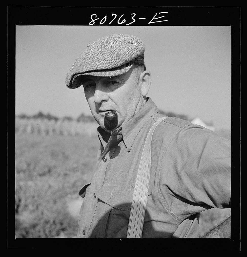 [Untitled photo, possibly related to: Roger Dauber, East shore farmer. Dorchester County, Maryland]. Sourced from the…