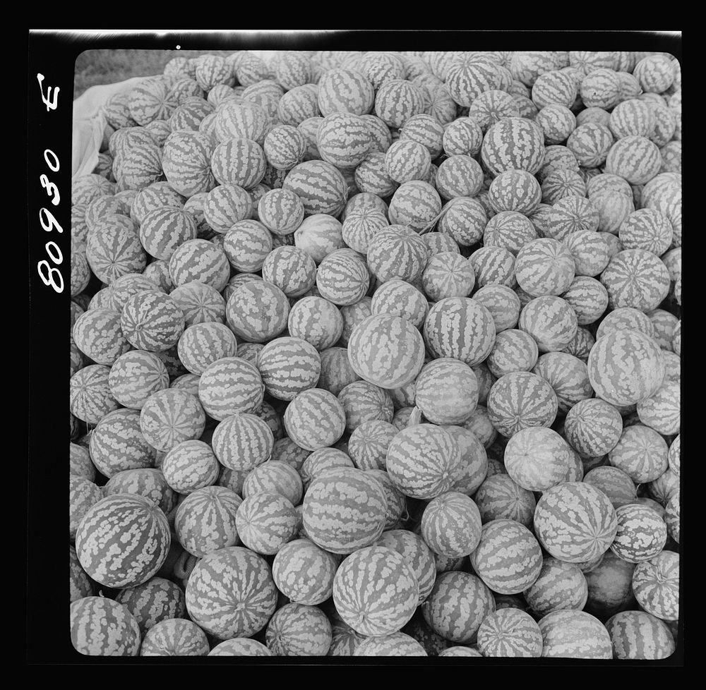 Melons piled harvest market Windsor Free Photo rawpixel
