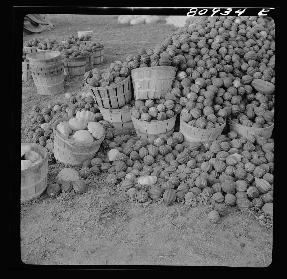 Greenfield, Massachusetts. Roadside market. Sourced from the Library of Congress.
