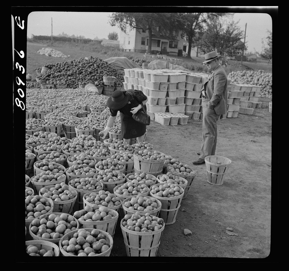 [Untitled photo, possibly related to: Harvest market near Windsor Locks, Connecticut]. Sourced from the Library of Congress.