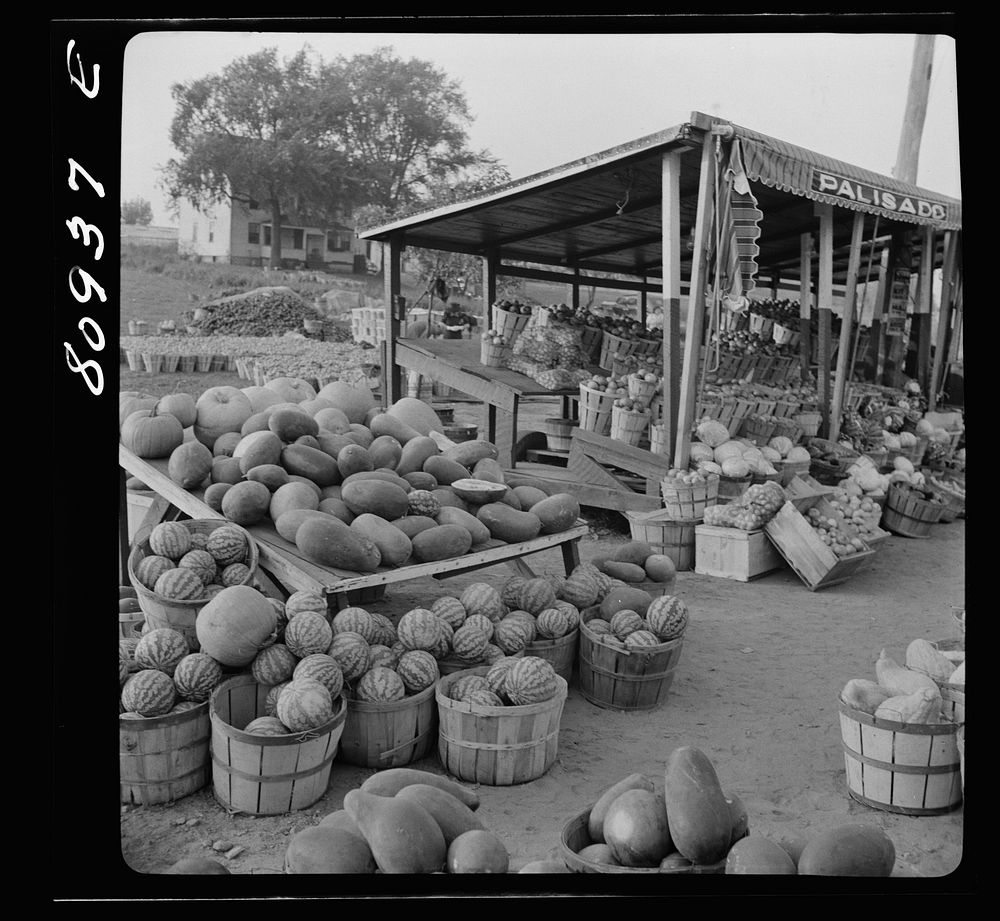 Harvest market near Windsor Locks, Connecticut. Sourced from the Library of Congress.