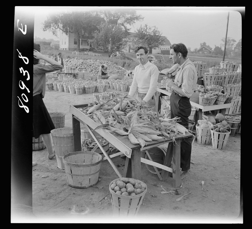 Windsor Locks (vicinity), Connecticut. Harvest market. Sourced from the Library of Congress.