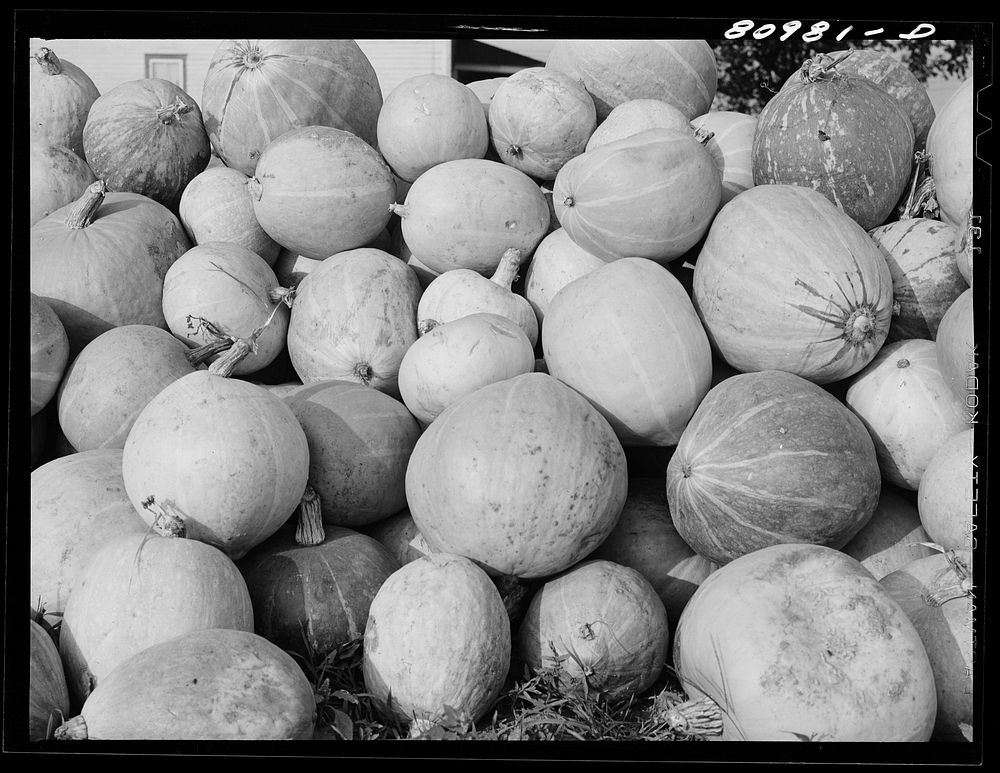 Melons piled in harvest market near Windsor Locks, Connecticut. Sourced from the Library of Congress.