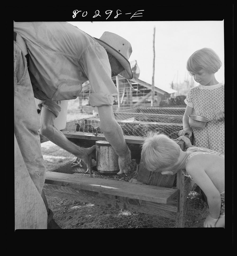 James F. Drigger teaches his boy and girl how to water chickens in the FSA (Farm Security Administration) wire-floored…