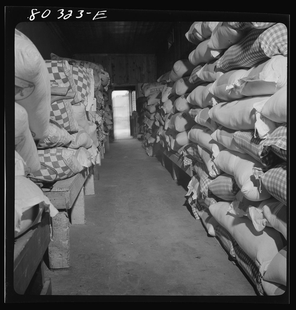 Bags of feed in the well-stocked Farmers Exchange co-op hatchery. Elba, Coffee County, Alabama. Sourced from the Library of…