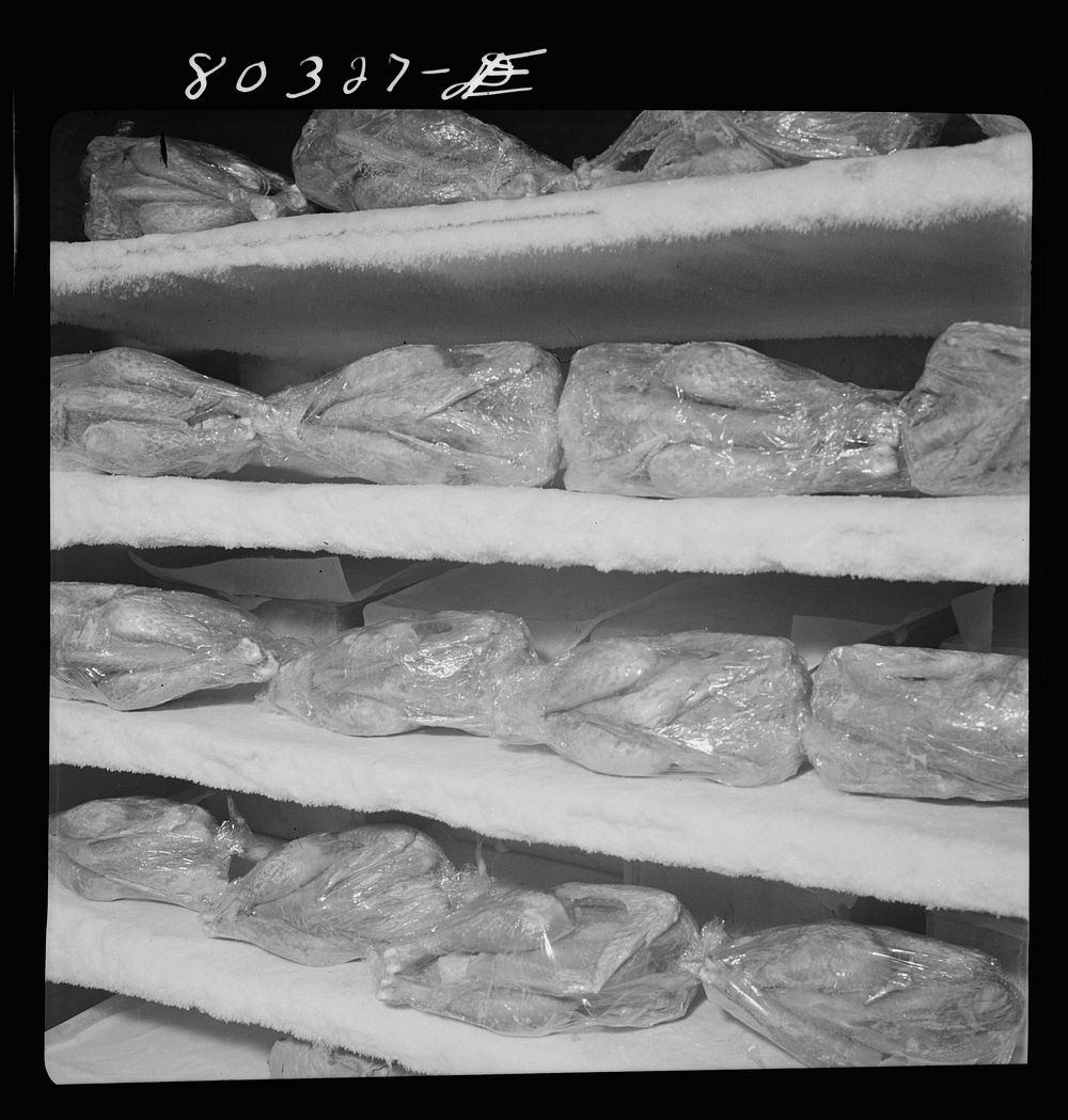 Frozen FSA (Farm Security Administration) "Food for Defense" chicken, wrapped in cellophane and ready for market. Enterprise…