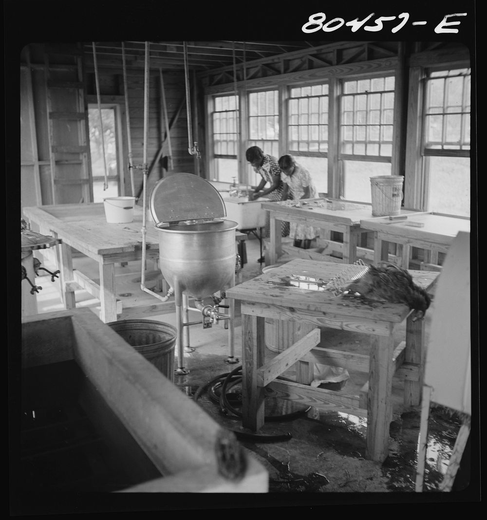 Interior of Enterprise FSA (Farm Security Administration) canning and dressing station. Coffee County, Alabama. Sourced from…