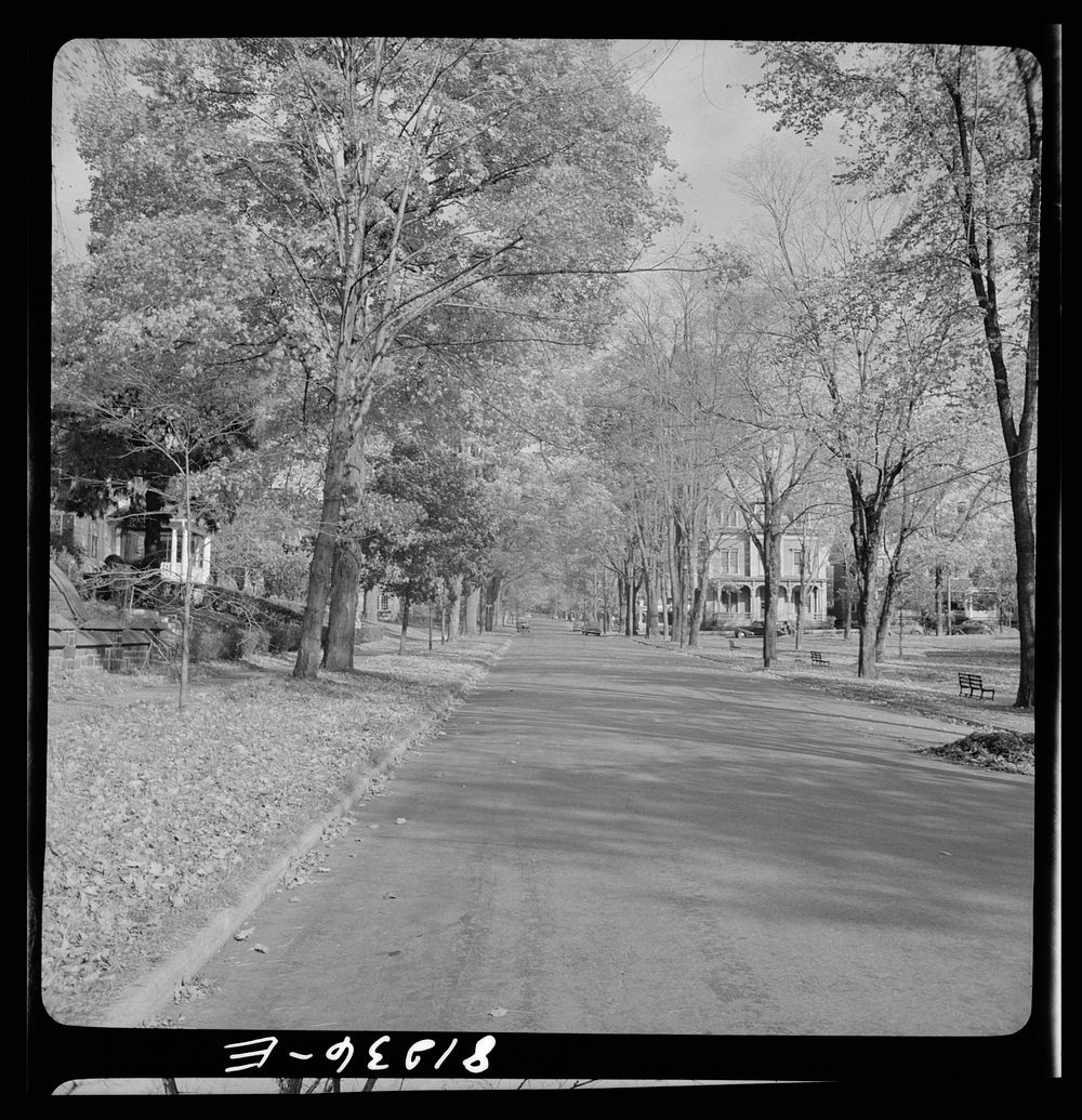 Street through old residential district of Little Falls, New York. Sourced from the Library of Congress.