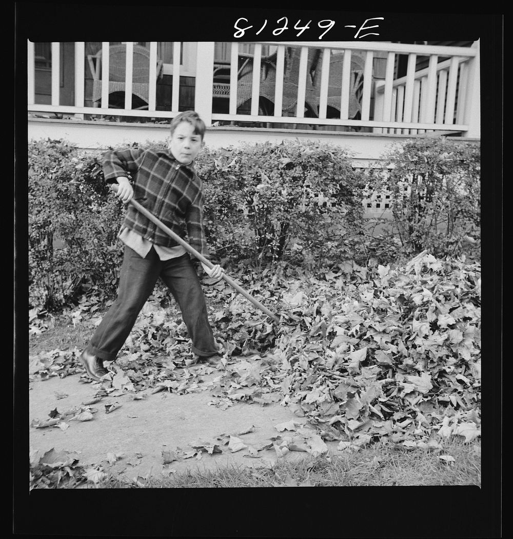 [Untitled photo, possibly related to: | Free Photo - rawpixel