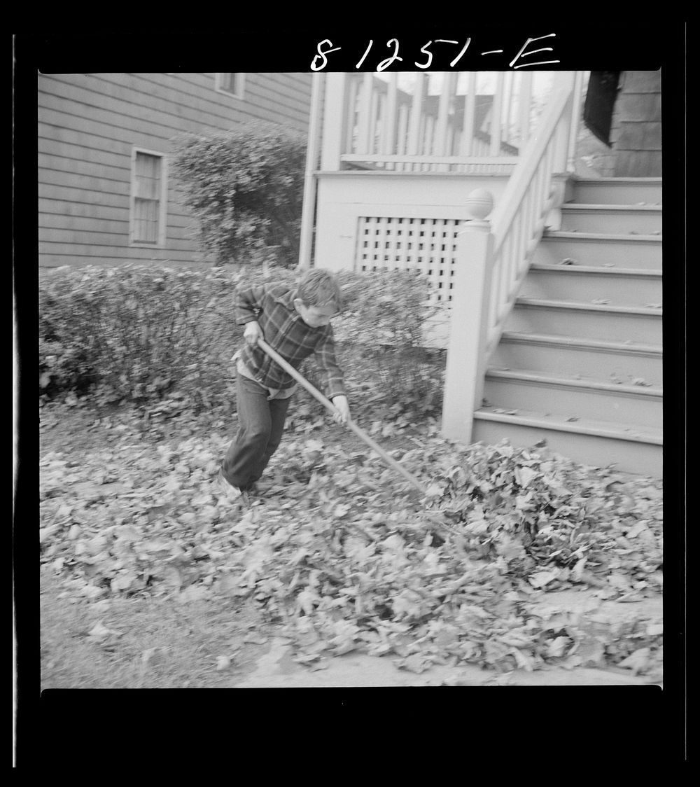 [Untitled photo, possibly related to: Fall activity. Little Falls, New York]. Sourced from the Library of Congress.