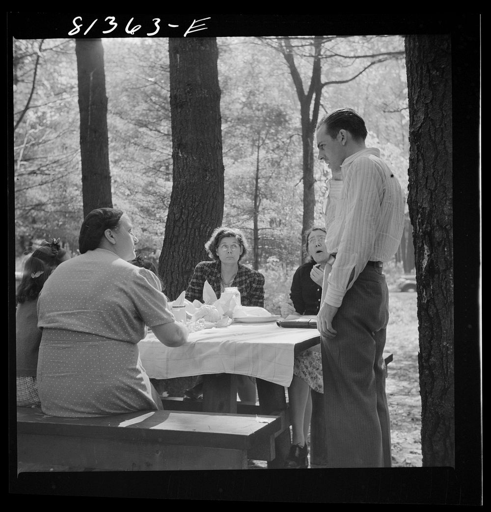 Picnic party along the Mohawk Trail, Massachusetts. Sourced from the Library of Congress.