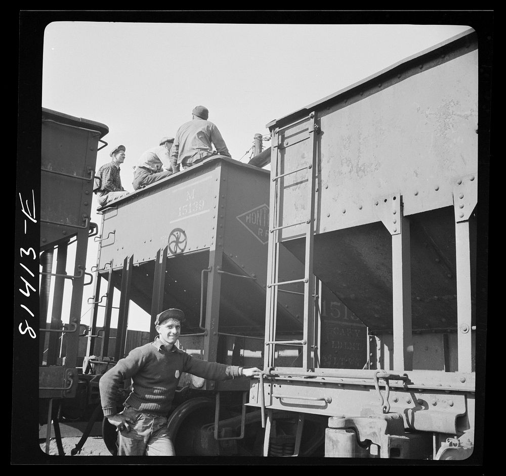 Coal cars unloading at the port of Oswego, New York. Sourced from the Library of Congress.