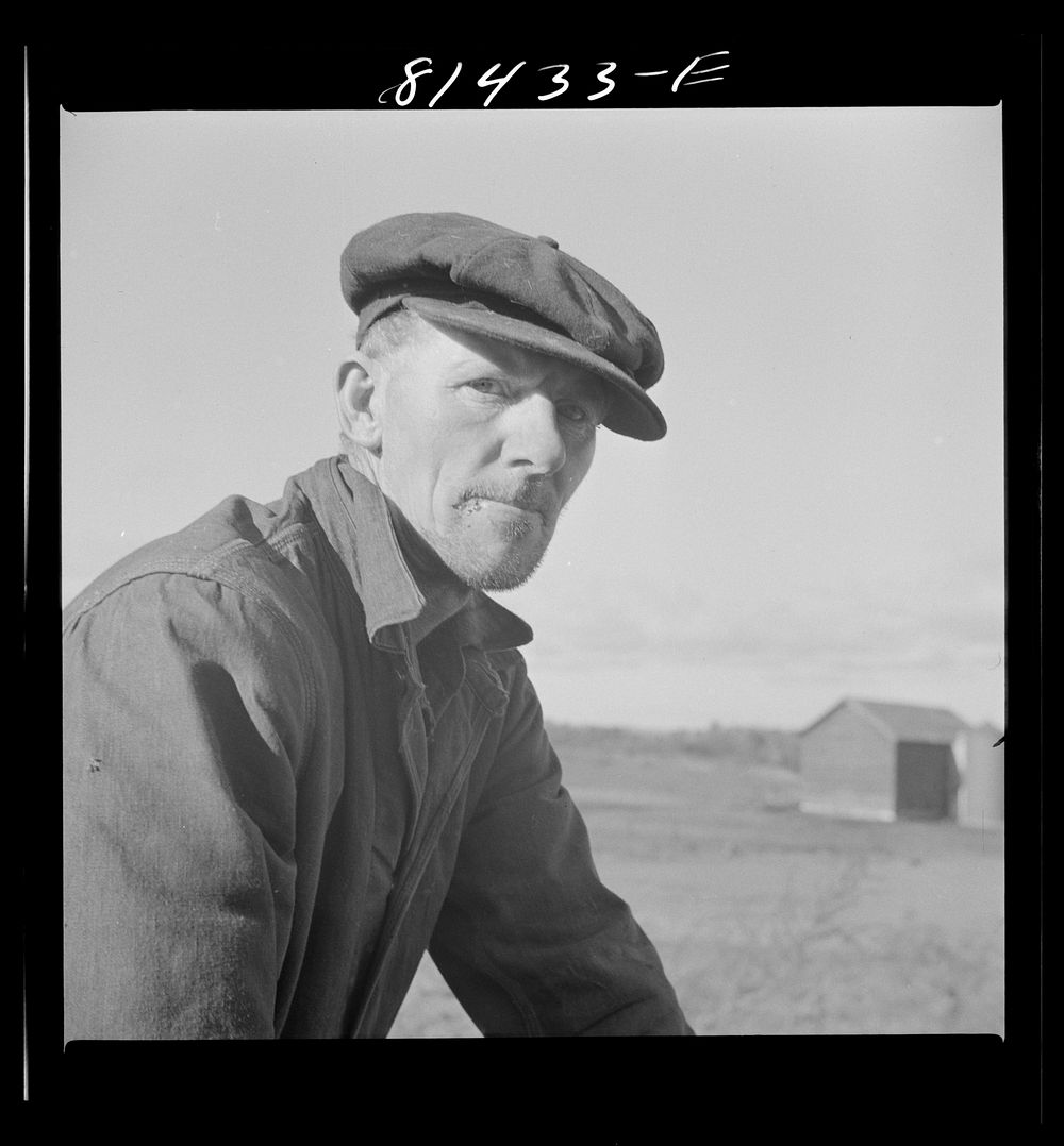 Hired man on the Daxtater dairy farm near Little Falls, New York. Sourced from the Library of Congress.