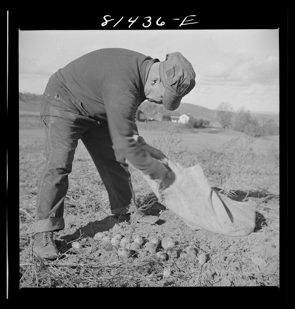 The Daxtater dairy farm near Little Falls, New York. Sourced from the Library of Congress.
