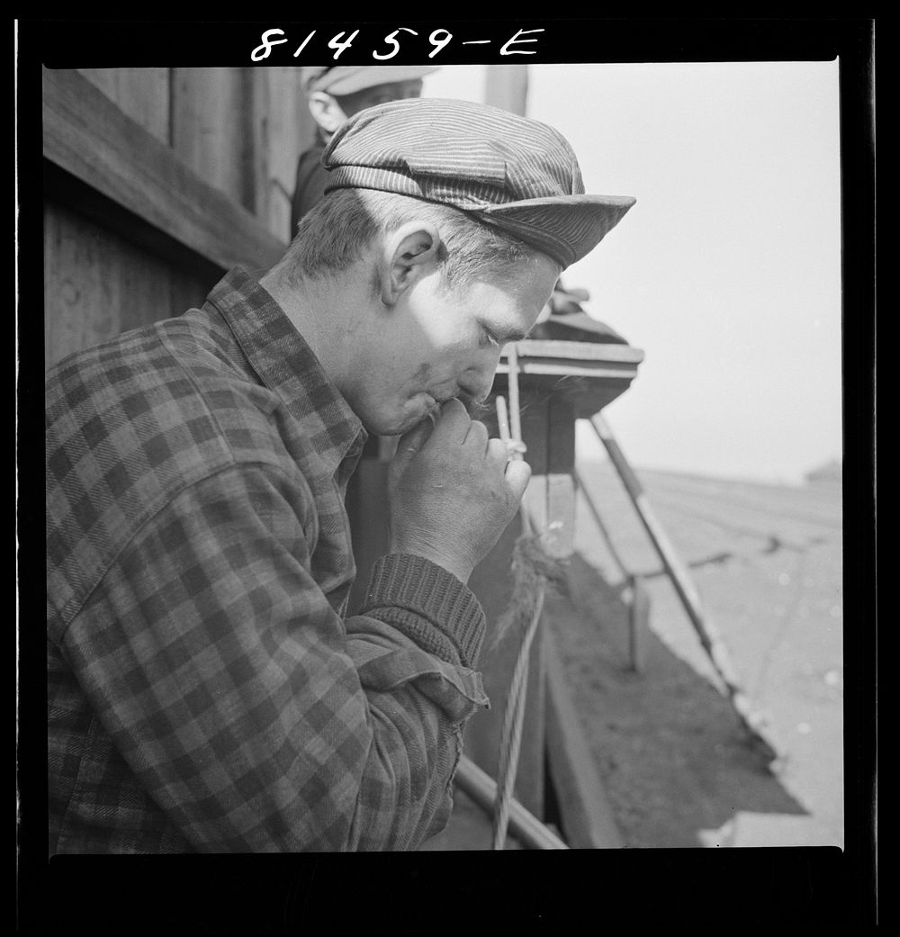 [Untitled photo, possibly related to: French-Canadian stevedores. Oswego, New York]. Sourced from the Library of Congress.