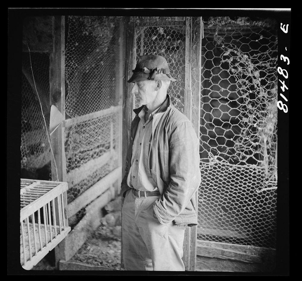 Mr. Mambert, Hudson River farmer near Coxsackie, New York. Sourced from the Library of Congress.