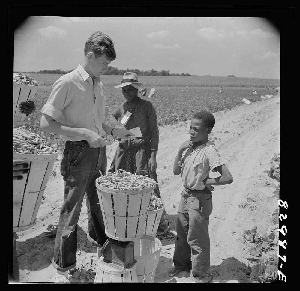 [Untitled photo, possibly related to: Bridgeton, New Jersey. Seabrook Farm. Weighing in beans]. Sourced from the Library of…