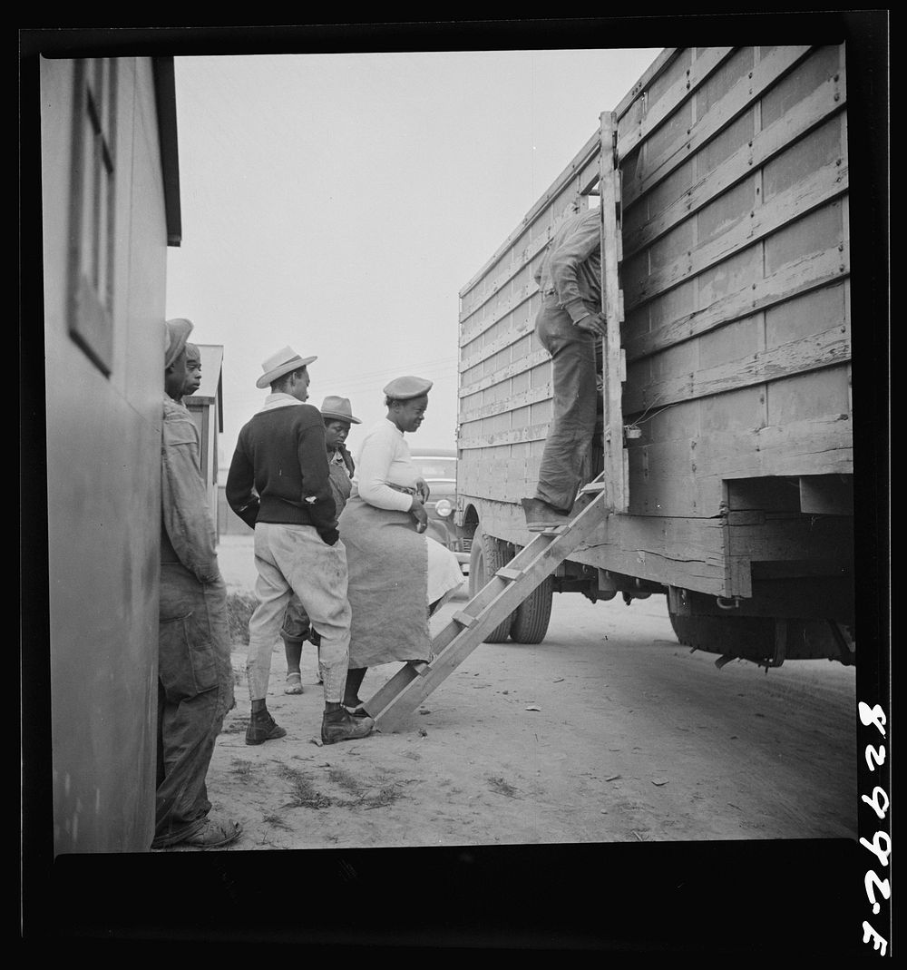 Bridgeton, New Jersey. FSA (Farm Security Administration) agricultural workers' camp. Migrant leaving camp for the fields at…