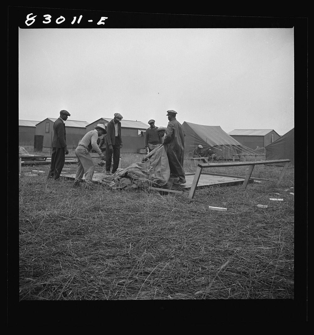 [Untitled photo, possibly related to: Bridgeton, New Jersey. FSA (Farm Security Administration) agricultural workers' camp.…