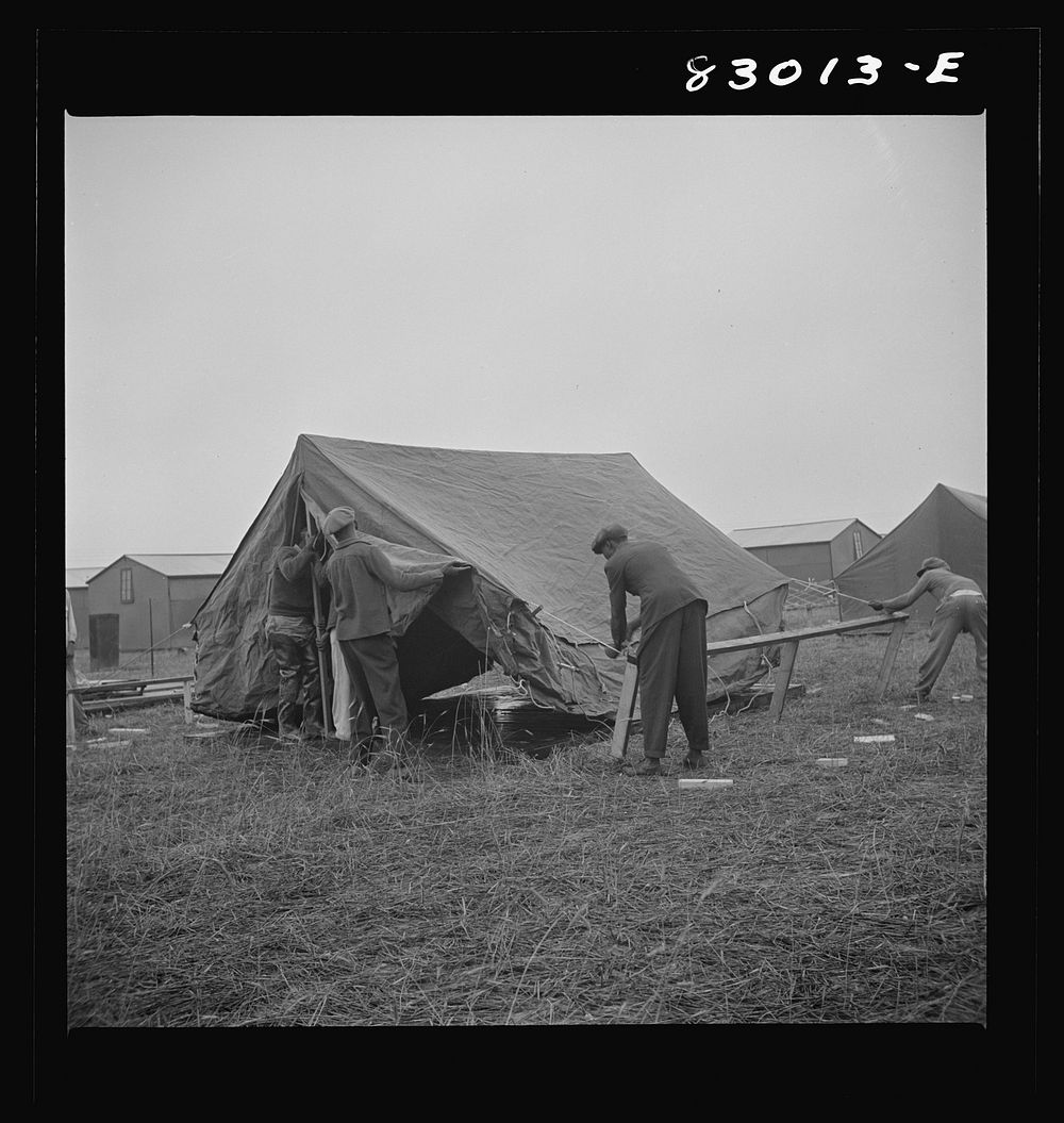 Bridgeton, New Jersey. FSA (Farm Security Administration) agricultural workers' camp. Setting up tents. Sourced from the…