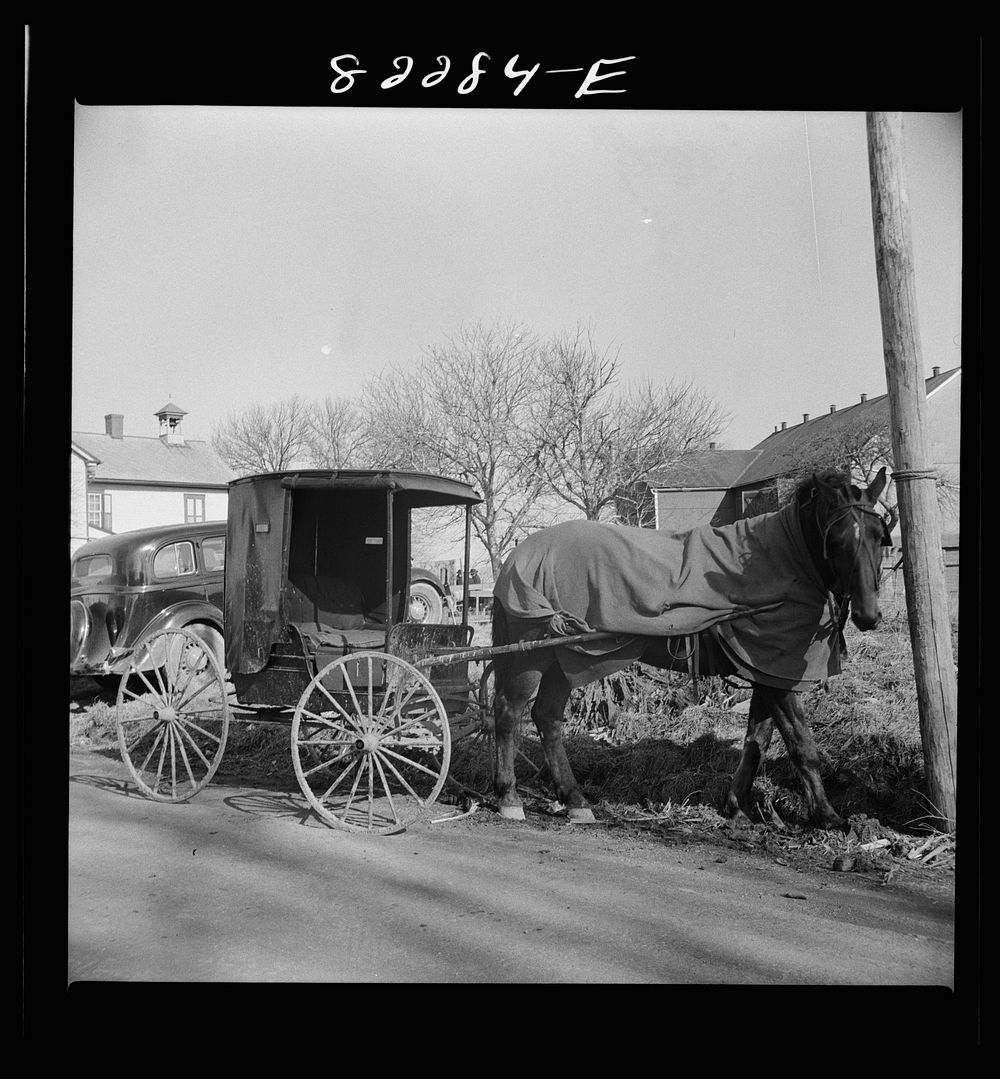 Lancaster County, Pennsylvania. Amish carriage. Sourced from the Library of Congress.