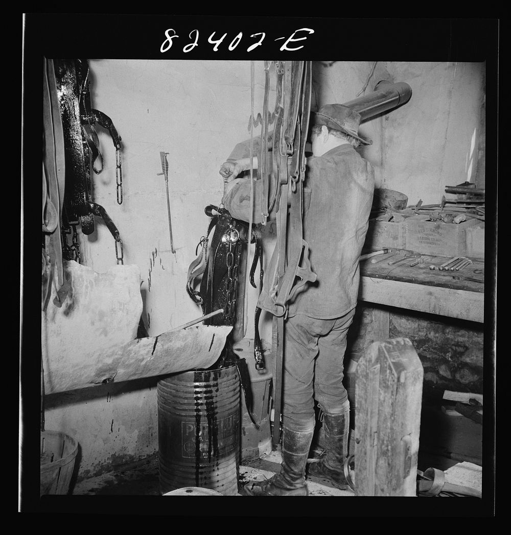 Honey Brook, Pennsylvania (vicinity). Amish boy dipping harness in readiness for spring ploughing. Zook farm. Sourced from…