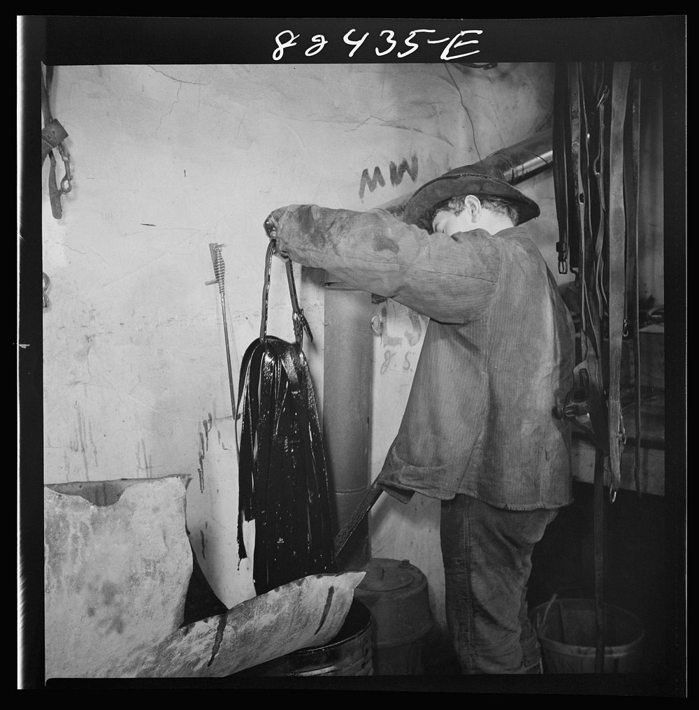[Untitled photo, possibly related to: Honey Brook, Pennsylvania (vicinity). Amish farmland dipping harness in oil on the…